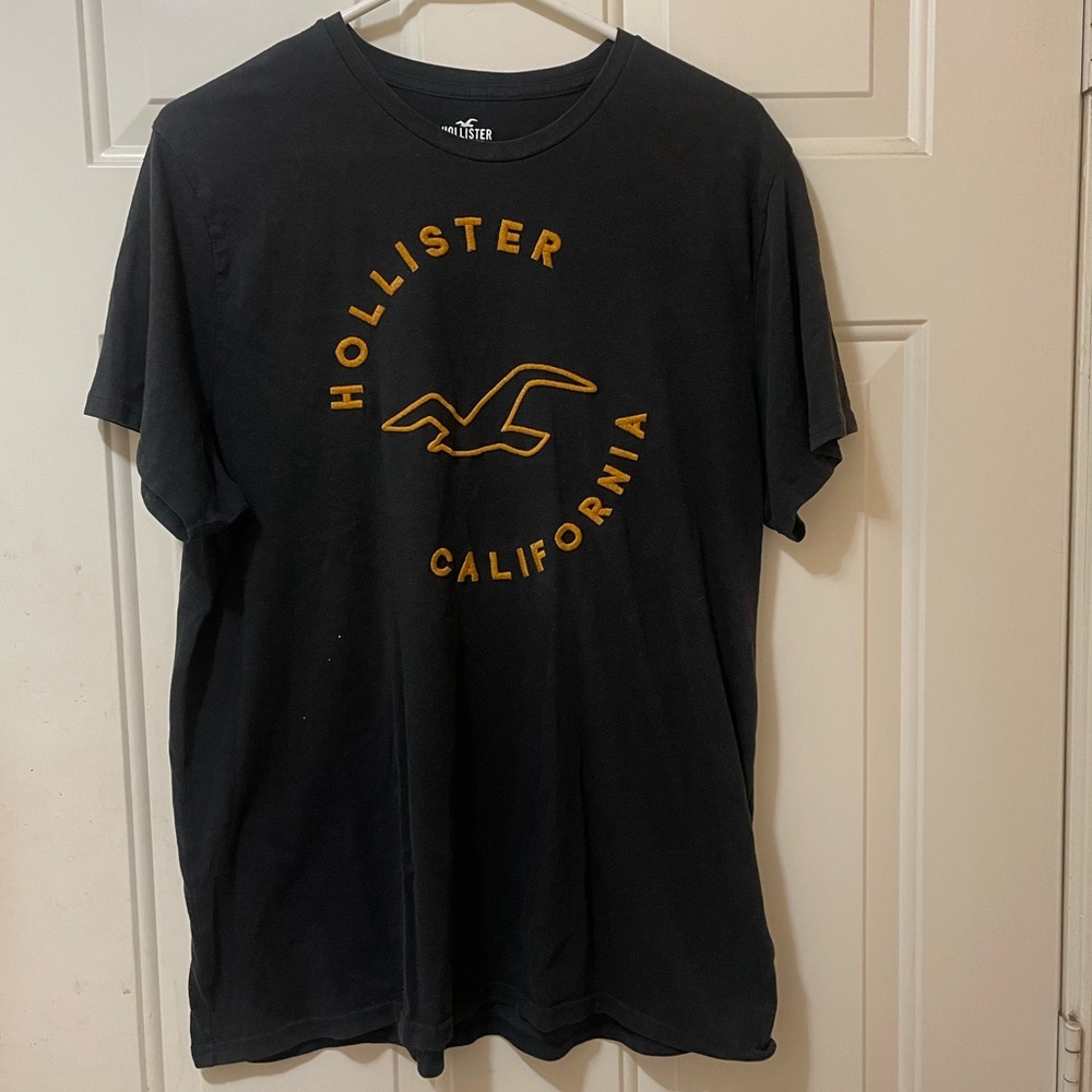 Hollister T shirt